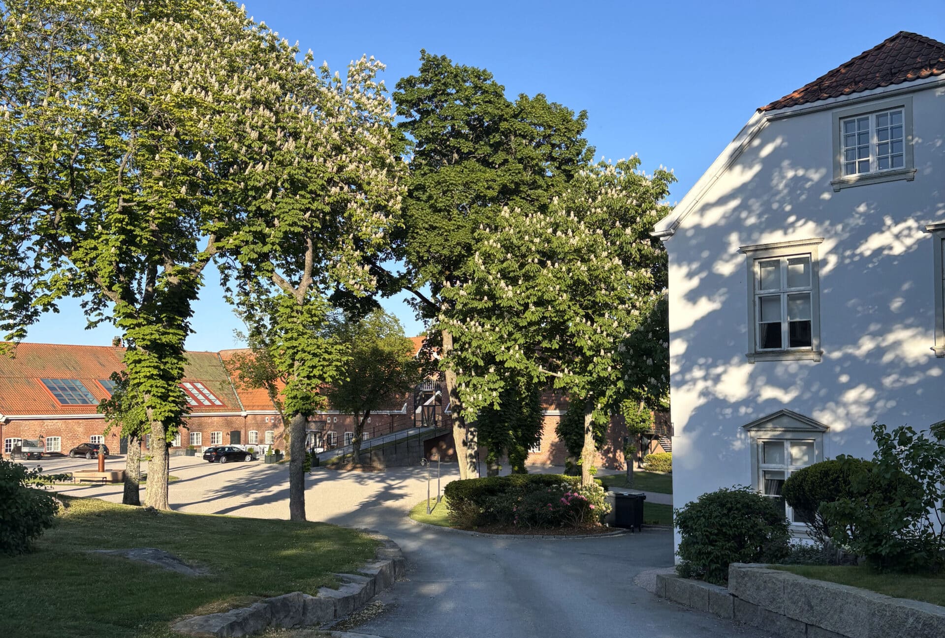 Utsikt mot Låven, nå Borregaard Hotell, bak trær i solskinn